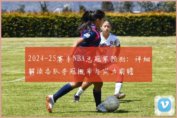 2024-25赛季NBA总冠军预测：详细解读各队夺冠概率与实力前瞻