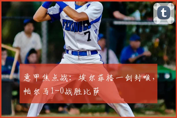 意甲焦点战：埃尔菲格一剑封喉，帕尔马1-0战胜比萨