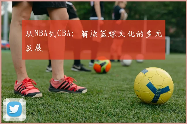 从NBA到CBA：解读篮球文化的多元发展