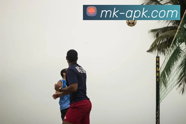 MK体育官网服务体系